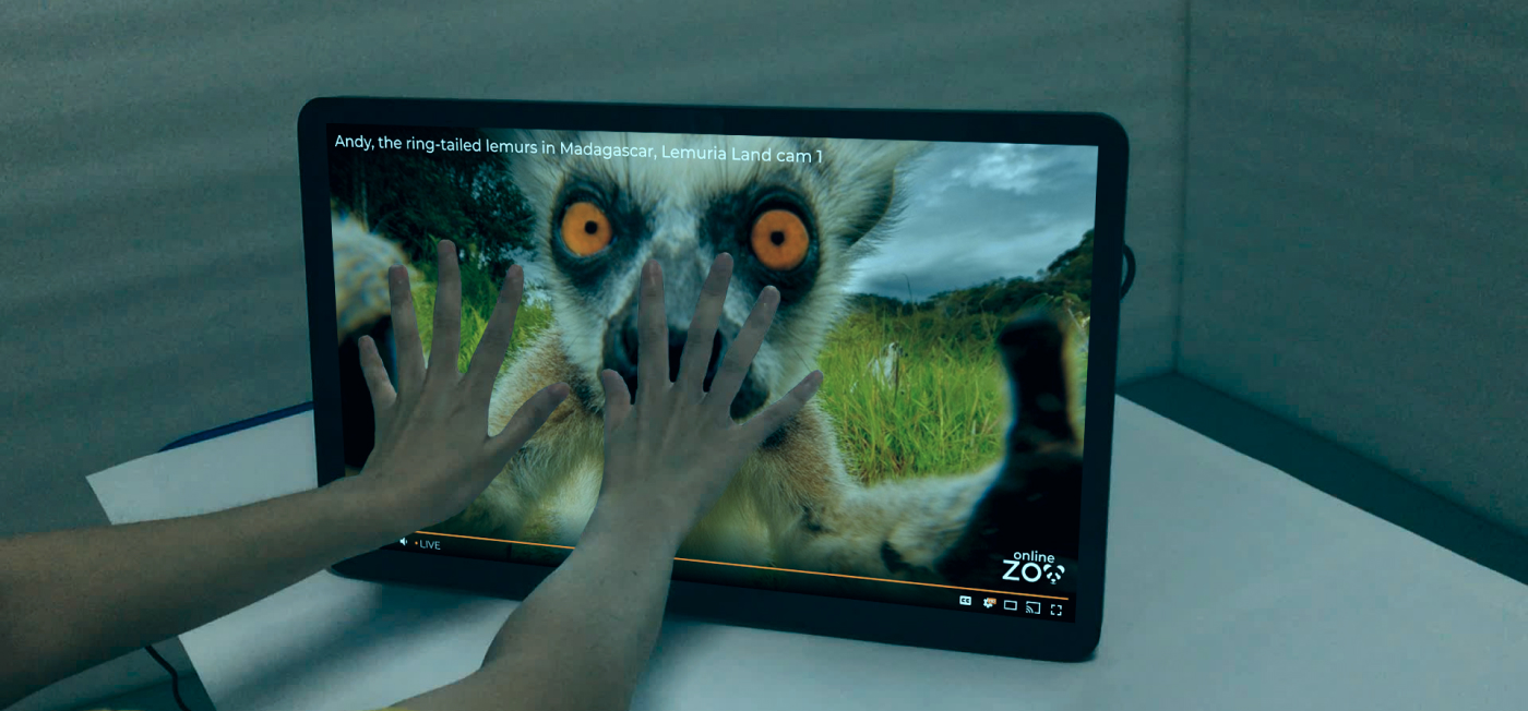 screen